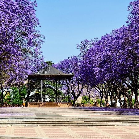 Alazan Jerez Iv-Parking Gratis-Wifi-Netflix Appartement Jerez de la Frontera Buitenkant foto
