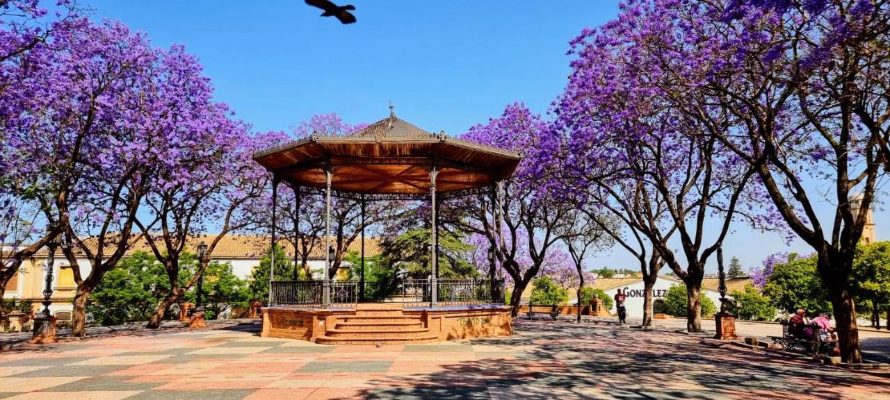Alazan Jerez Iv-Parking Gratis-Wifi-Netflix Appartement Jerez de la Frontera Buitenkant foto
